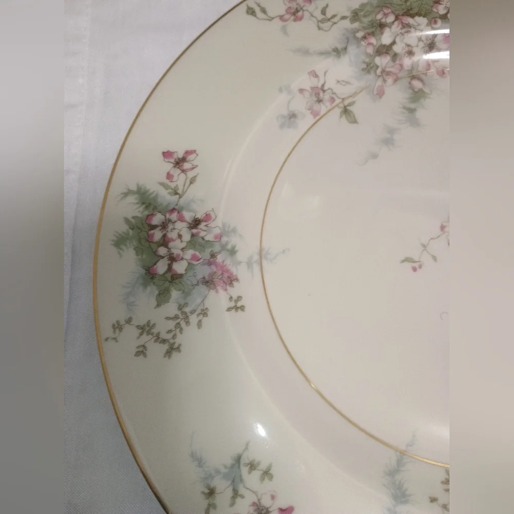 Pair Of Theodore Haviland New York dinner plates. Apple Blossom pattern - Picture 5 of 9